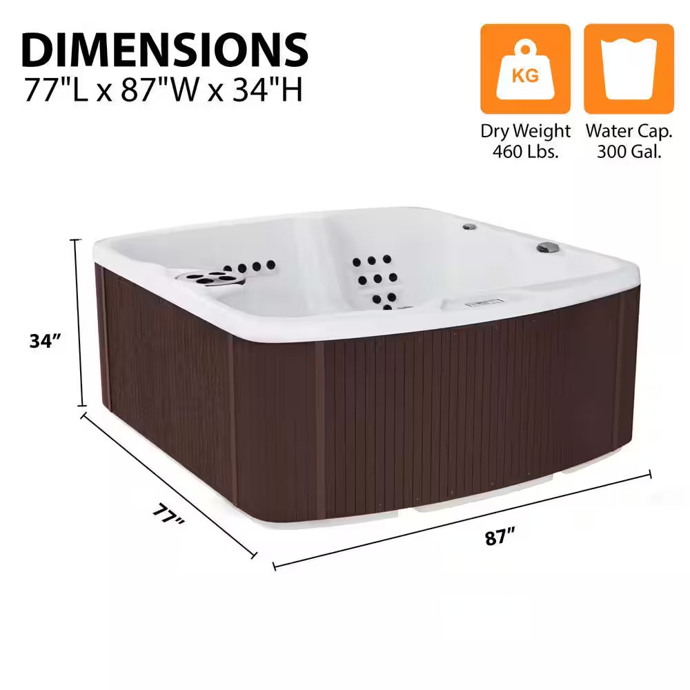 LS550 plus 5-Person 65-Jet 230V Standard Spa with Ozonator