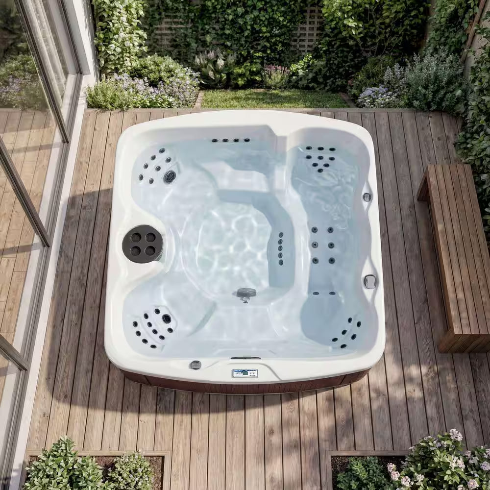LS550 plus 5-Person 65-Jet 230V Standard Spa with Ozonator